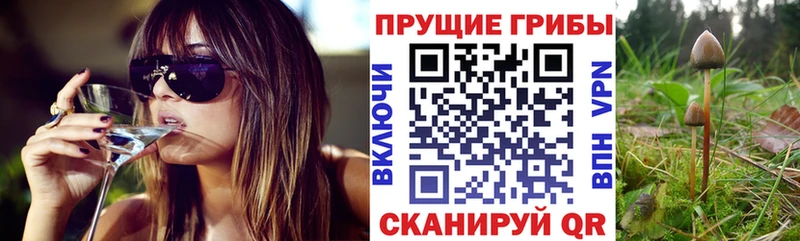 Галлюциногенные грибы MAGIC MUSHROOMS  Инсар 